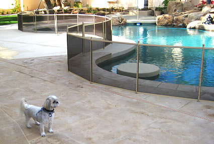 dog fence for pool